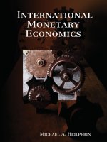 International monetary economics