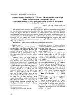 Cường độ quang hợp của lá và quả cà phê trong giai đoạn phát triển của quả tại Buôn Ma Thuột docx