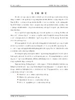 tổng quang tài liệu về một số nhóm sản phẩm truyền thống việt nam