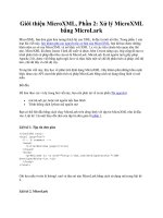 Giới thiệu MicroXML, Phần 2: Xử lý MicroXML bằng MicroLark pot