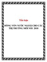 tiểu luận dòng vốn nước ngoài cho các thị trường mới nổi 2010