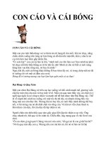 CON CÁO VÀ CÁI BÓNG pptx
