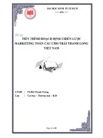 Tiểu luận:TIẾN TRÌNH HOẠCH ĐỊNH CHIẾN LƯỢC MARKETING TOÀN CẦU CHO TRÁI THANH LONG VIỆT NAM potx