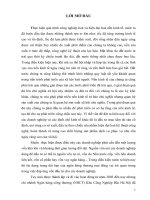 ''nâng cao chất lượng tín dụng trung dài hạn tại chi nhánh ngân hàng công thương khu công nghiệp bắc hà nội