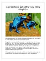 Sinh viên tạo ra ''''ếch sát thủ'''' trong phòng thí nghiệm doc