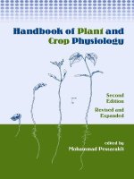 handbook of plant & crop physiology revised & expanded - mohammad pessarakli
