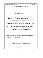 Nghiên cứu đặc điểm thực vật, thành phần hoá học và một số tác dụng sinh học của cây Ngoi (Solanum erianthum D. DON) thuộc họ Cà (Solanaceae)