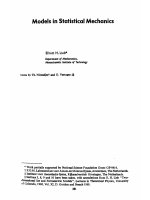 models in statistical mechanics