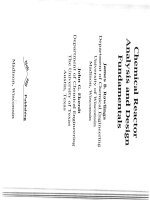 chemical reactor analysis and design fundamentals - rawlings