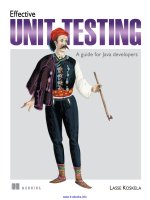 effective unit testing