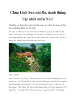Chùa Linh Sơn núi Bà, danh thắng bậc nhất miền Nam pdf