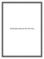 10 tính năng bí mật của Mac OS X Lion potx