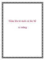 Giàu lên từ nuôi cá lóc bể xi măng pdf