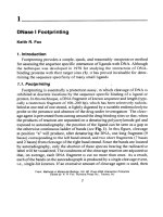 drug–dna interaction protocols