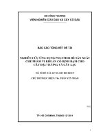 Nghiên cứu ứng dụng polymer để sản xuất chế phẩm vi khuẩn cố định đạm cho cây đậu tương và cây lạc