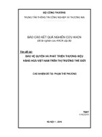 Bảo vệ quyền và phát triển thương hiệu hàng hóa việt nam trên thị trường thế giới