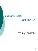 NUCLEOPROTEIN & ACID NUCLEIC potx