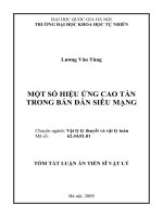 Một số hiệu ứng cao tần trong bán dẫn siêu mạng