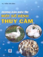 HƯỚNG DẪN ĐIỀU TRỊ MỘT SỐ BỆNH THỦY CẦM