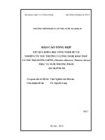Nghiên cứu ngư trường và công nghệ khai thác cá ngừ đại dương giống (thunnus albacares; thunnus obesus) phục vụ nuôi thương phẩm
