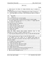 đề tài công ty tnhh thương mại và dịch vụ trường an