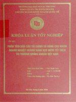 Phân tích báo cáo tài chính so sánh cho nhóm doanh nghiệp ngành bánh kẹo niêm yết trên thị trường chứng khoán Việt Nam