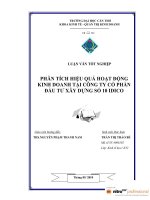 phân tích hiệu quả hoạt động kinh doanh tại công ty cổ phần đầu tư xây dựng số 10 idico