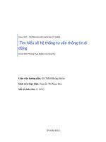 Tìm hiểu về hệ thống tư vấn thông tin di động