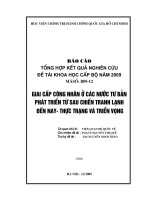 Giai cấp công nhân ở các nước tư bản phát triển từ sau chiến tranh lạnh đến nay   thực trạng và triển vọng
