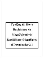 Tự động tải file từ Rapidshare và MegaUpload với RapidShare+MegaUploa d Downloader 2.1 docx
