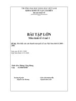 Bài tập lớn kinh tế vĩ mô nghiên cứu về cán cân thanh toán quốc tế