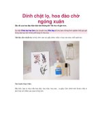 Dính chặt lọ, hoa đào chờ ngóng xuân docx