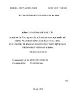 Nghiên cứu ứng dụng các kỹ thuật sinh học phân tử trong phát hiện sớm và dự báo tiên lượng của ung thư thế bào gan nguyên phát trên bệnh nhân nhiễm virut viêm gan b (HBV)