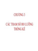 Các tham số trong đo lường thống kê pdf