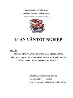 Một số giải pháp nhằm nâng cao chất lượng tín dụng tại ngân hàng NN và PTNT chi nhánh quận Cầu Giấy