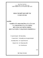 nghiên cứu sinh trưởng của cây con và ảnh hưởng của cây giống đến năng suất rừng trồng keo tai tượng và bạch đàn urphylia