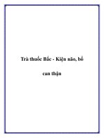 Trà thuốc Bắc - Kiện não, bổ can thận pptx