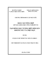 tạo dòng đậu tương biển đổi gen kháng sâu và chịu hạn