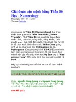 giải đoán vận mệnh bằng thần số học