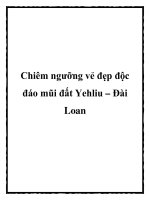 Chiêm ngưỡng vẻ đẹp độc đáo mũi đất Yehliu – Đài Loan docx