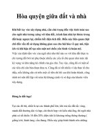 Hòa quyện giữa đất và nhà pot