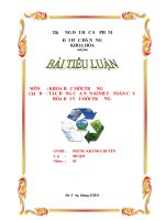 Tiểu luận tác động của nền kinh tế toàn cầu hóa đến môi trường