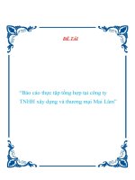 CÔNG TÁC KẾ TOÁN, TÀI CHÍNH, PHÂN TÍCH KINH TẾ TẠI CÔNG TY TNHH XÂY DỰNG VÀ THƯƠNG MẠI MAI LÂM