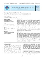 BẤT CẬP LIÊN QUAN ĐẾN GIÁ ĐẤT TÍNH TIỀN BỒI THƯỜNG KHI NHÀ NƯỚC THU HỒI ĐẤT potx