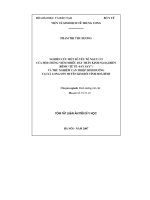 Nghiên cứu một số yếu tố nguy cơ của hội chứng viêm nhiều dây thần kinh ngoại biên (bệnh tê tê-say say) và thử nghiệm can thiệp dinh dưỡng tại xã Long Sơn huyện Kim Bôi tỉnh Hoà Bình