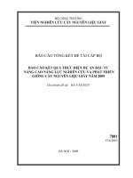 dự án đầu tư nâng cao năng lực nghiên cứu và phát triển giống cây nguyên liệu giấy năm 2009