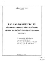 Điều tra thực trạng đời sống của đồng bào các dân tộc ở một số vùng căn cứ cách mạng   báo cáo giai đoạn 2