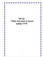 Đề tài: “Phân tích kinh tế doanh nghiệp FNB” pptx