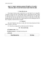 Giáo án bài Thực hành kinh tế biển BTB và Duyên Hải NTB - Địa 9 - GV.N M Thư