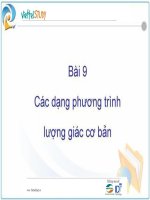 slie các dạng phương trình lượng giác cơ bản